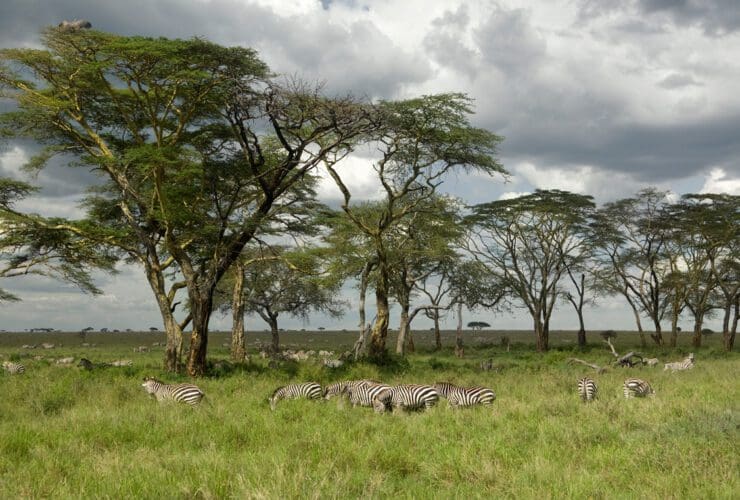 Google Success Story: Entara